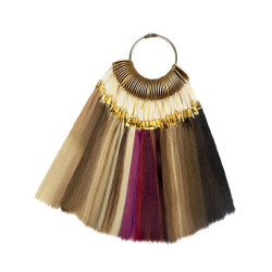 Elegance Muestrario Extensiones
