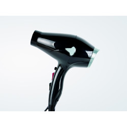 Perfect Beauty Secador Iónico Profesional Ionic R-3900