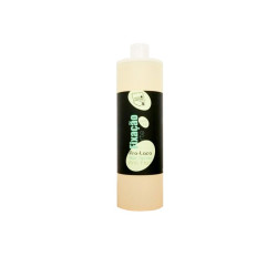 Real Natura Pro-Laca Fixação Forte Sem Gás (Recarga) 1000ml