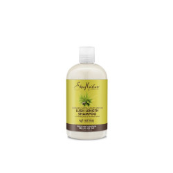 Shea Moisture Cannabis Sativa (HEMP) Seed Oil Lush Length Shampoo (384ml)