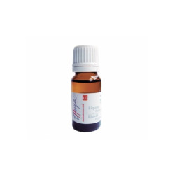 Thuya Liquido Primer (30ml)